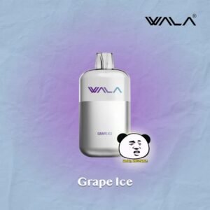 Grape Ice WALA POP 10000